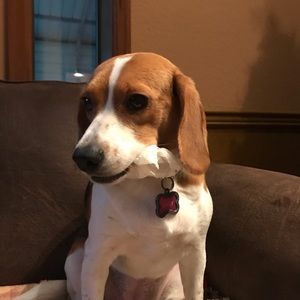 Meet your Posher, Kathy